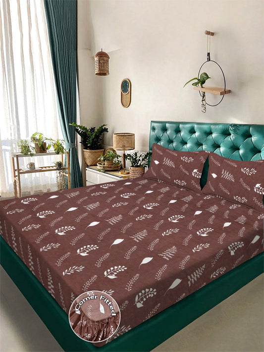 Brown Floral 300 TC Cotton Blend Fitted Double Bedsheet with 2 Pillow Covers