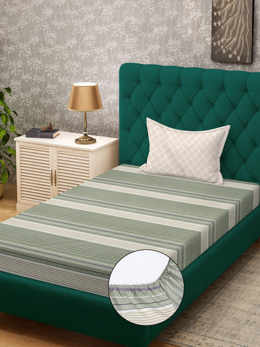 Green Striped 300 TC Cotton Blend Fitted Single Bedsheet with Pillow Cover