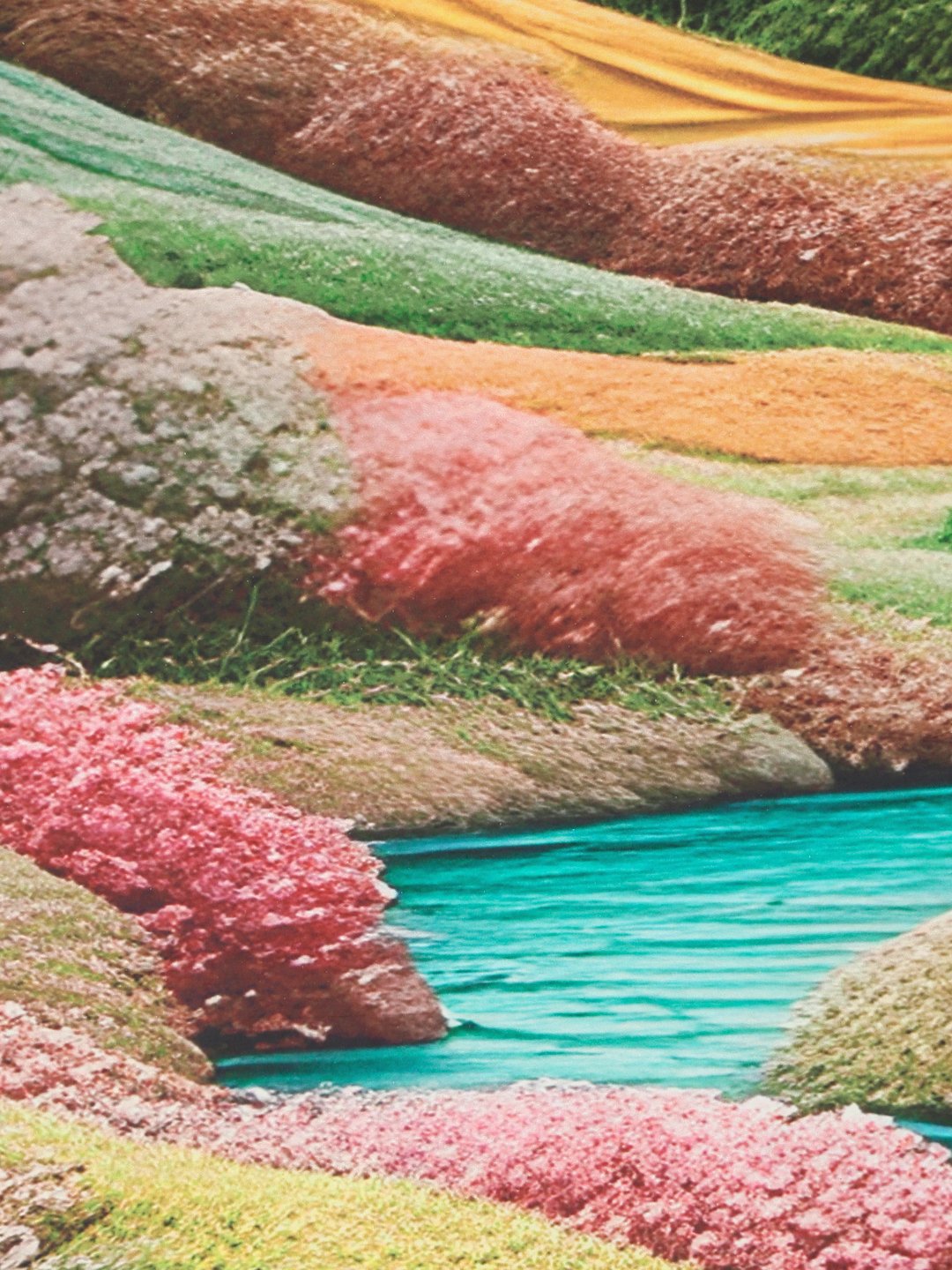 Multi 7D Floral Printed Cotton Blend Double Bedsheet with 2 Pillow Covers