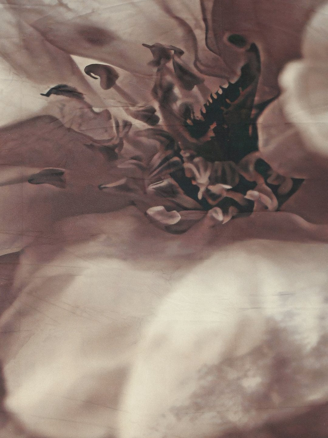 Brown 7D Floral Printed Fitted Cotton Blend Double Bedsheet with 2 Pillow Covers